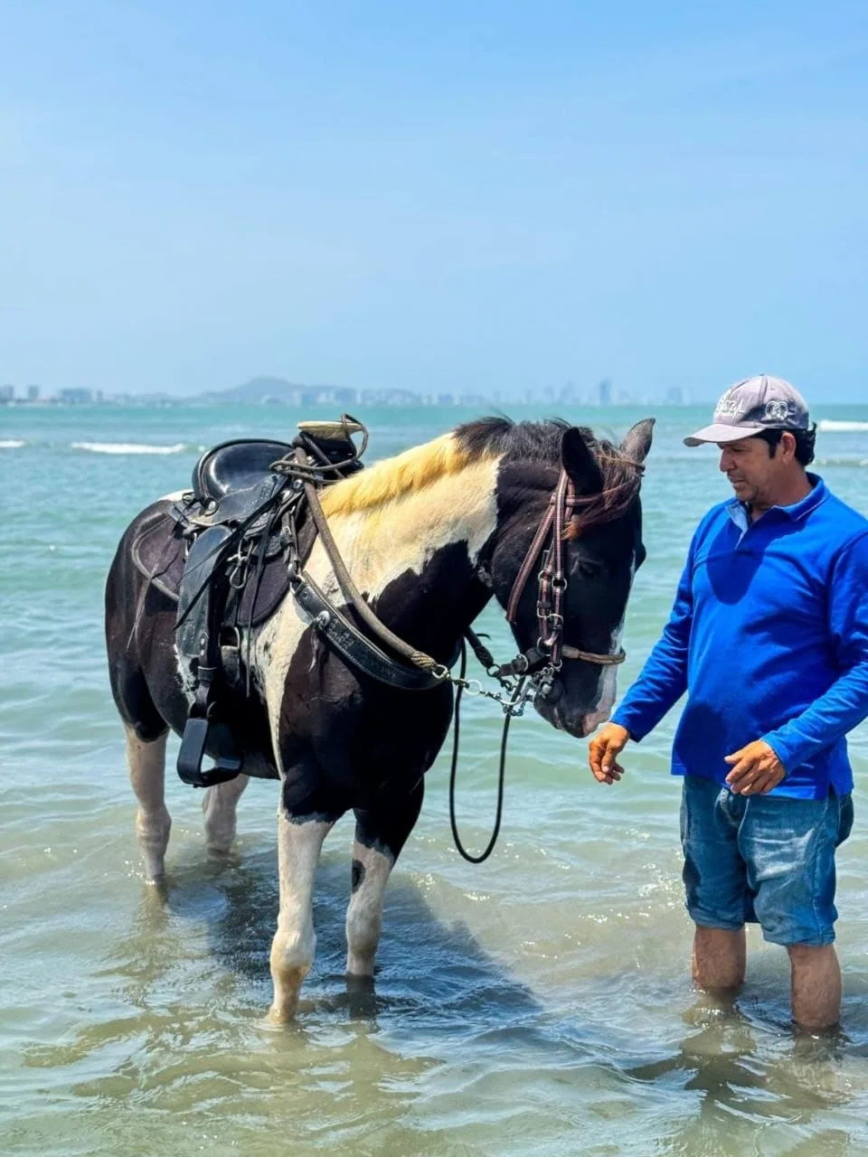 Cabalgata por la playa de La Boquilla en Cartagena